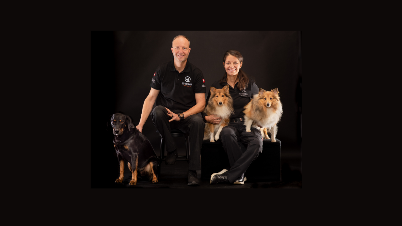Herzlich willkommen im Hundeangst Trainings-Zentrum Schweiz