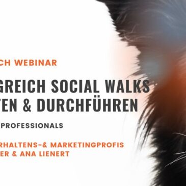 Unser neues Lernportal steht